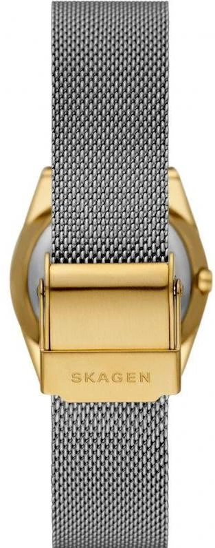Наручные часы  Skagen  GRENEN Skagen SKW3051 (фото 2)