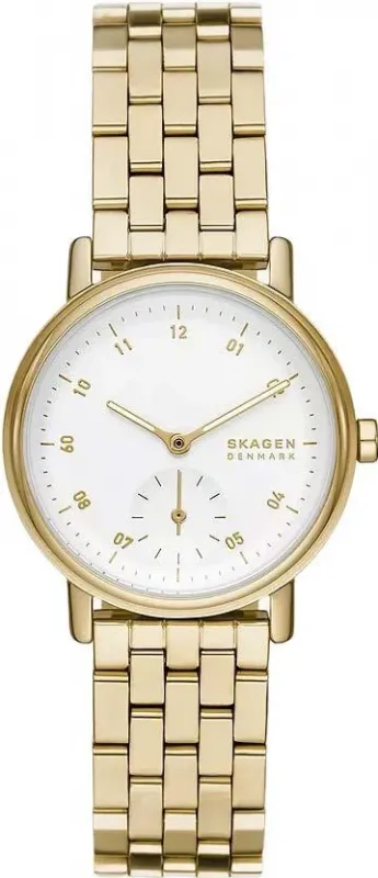 Наручные часы  Skagen  Aaren Skagen SKW3102 (фото 1)