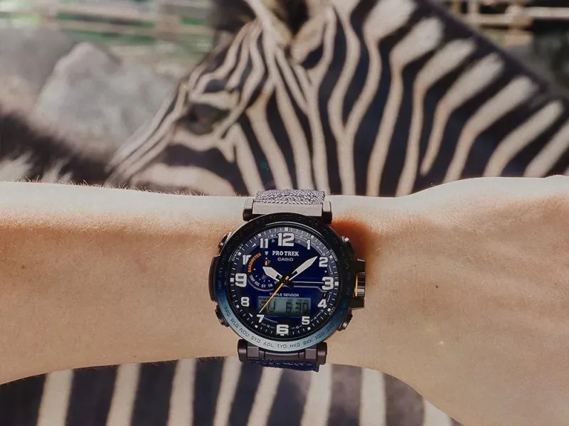 Наручные часы  Casio  ProTrek Casio PRG-601YB-2E (фото 6)