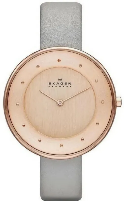 Наручные часы  Skagen  Leather Skagen SKW2139 (фото 1)