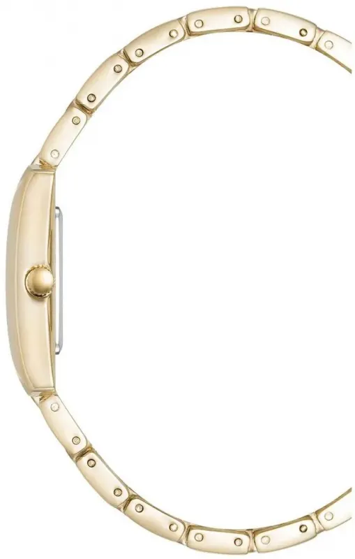 Наручные часы  Anne Klein  Metals Anne Klein 5114SVGB (фото 3)