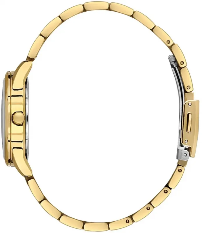 Наручные часы  Daniel Klein  Arcadia Daniel Klein 14049-2 (фото 2)