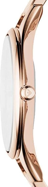 Наручные часы  Emporio Armani  Retro Emporio Armani AR11055 (фото 2)