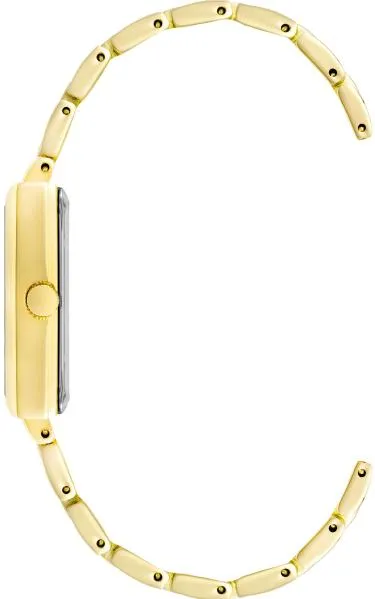 Наручные часы  Anne Klein  Crystal Anne Klein 4008SVGB (фото 2)