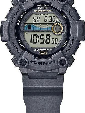 Наручные часы  Casio  Sports Casio WS-1300H-8A (фото 2)