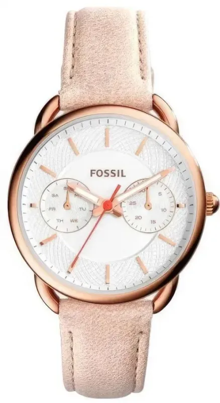 Наручные часы  Fossil  Multifunction Fossil ES4007 (фото 1)