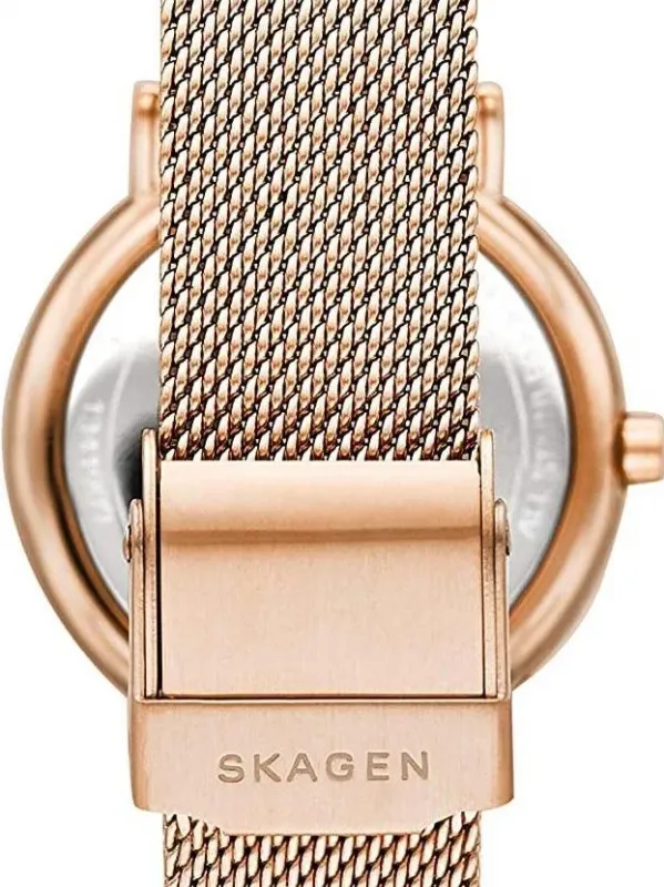 Наручные часы  Skagen  Signatur Skagen SKW2784 (фото 3)