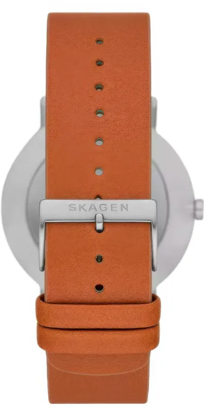 Наручные часы  Skagen  Kuppel Skagen SKW6888 (фото 2)