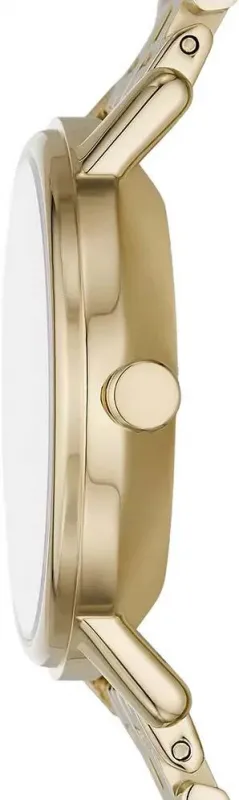 Наручные часы  Skagen  Aaren Skagen SKW3102 (фото 3)