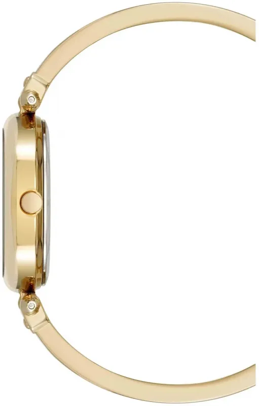 Наручные часы  Anne Klein  Diamond Anne Klein 5118WTGB (фото 3)