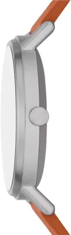 Наручные часы  Skagen  Kuppel Skagen SKW6888 (фото 3)