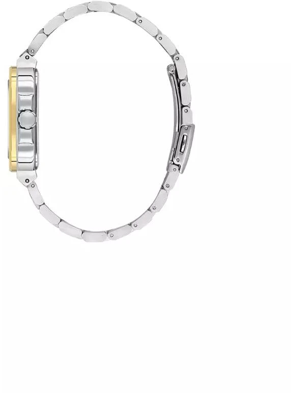 Наручные часы  Daniel Klein  Premium Daniel Klein 14142-5 (фото 2)