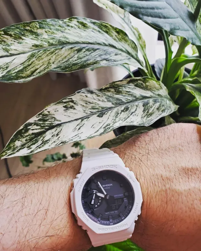 Наручные часы  Casio  G-Shock Casio GA-2100-7A (фото 2)