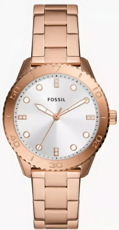 Наручные часы  Fossil  Dayle Fossil BQ3886 (фото 1)
