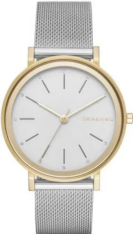Наручные часы  Skagen  Steel Skagen SKW2508 (фото 1)