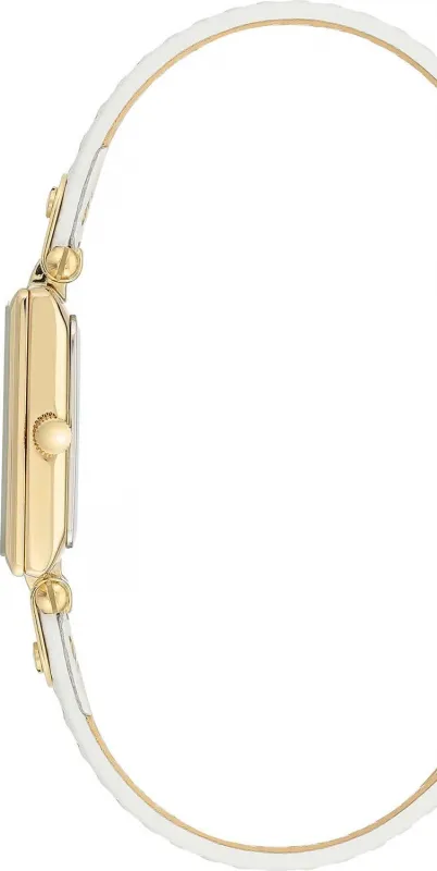 Наручные часы  Anne Klein  Leather Anne Klein 3752CRWT (фото 2)