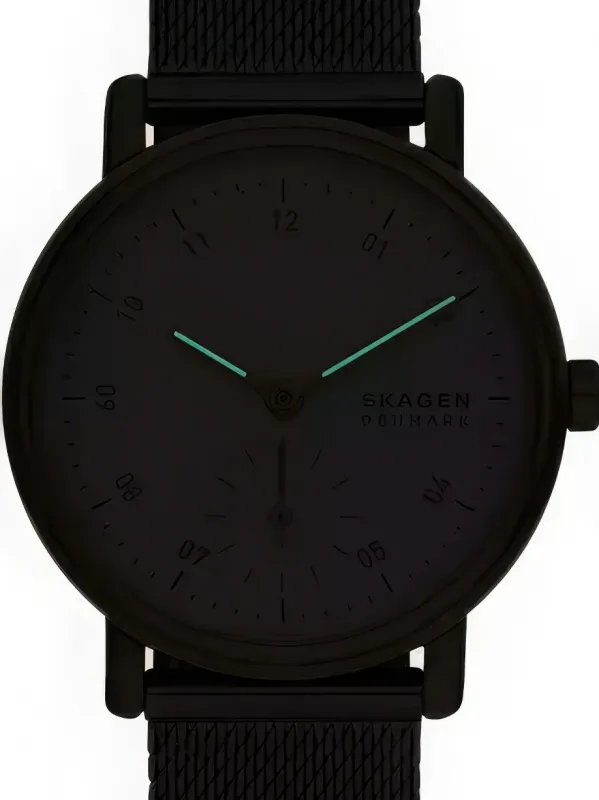 Наручные часы  Skagen  Kuppel Skagen SKW3101 (фото 3)