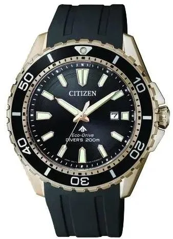 Наручные часы  Citizen  Eco Drive Citizen BN0193-17E (фото 1)