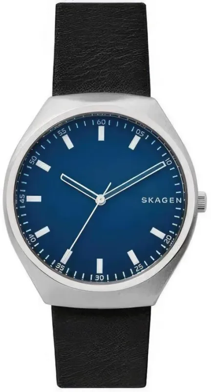 Наручные часы  Skagen  Leather Skagen SKW6385 (фото 1)