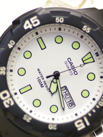 Наручные часы  Casio  Collection Casio MRW-200H-7E (фото 4)