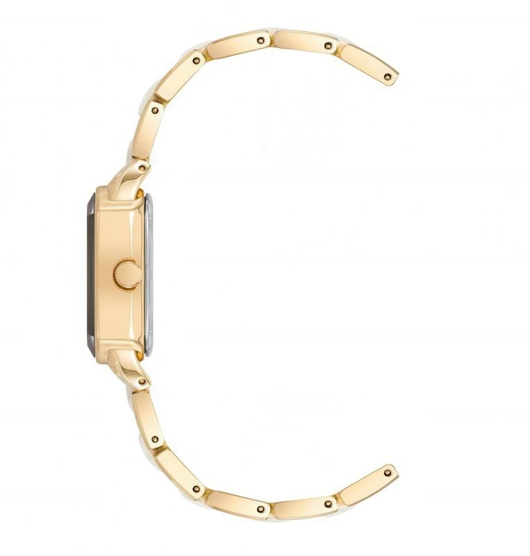 Наручные часы  Anne Klein  Ceramic Anne Klein 5010GPWT (фото 3)