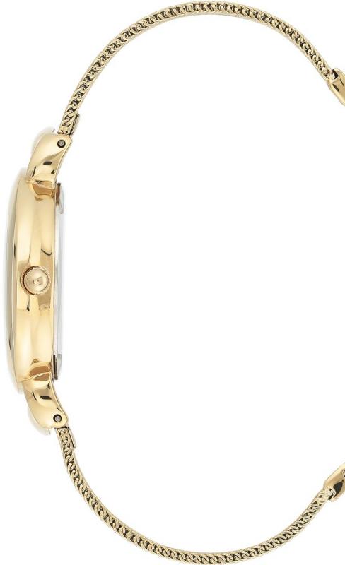 Наручные часы  Anne Klein  Steel Anne Klein 3806SVGB (фото 2)