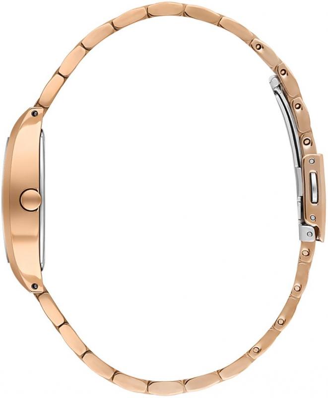 Наручные часы  Daniel Klein  Premium Daniel Klein 14107-5 (фото 2)