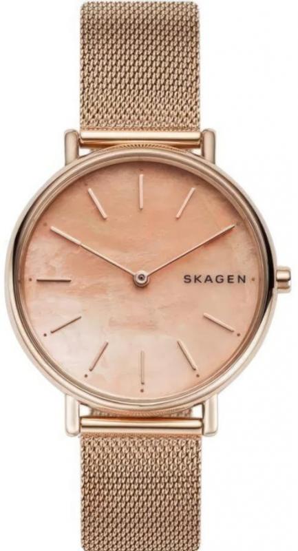 Наручные часы  Skagen  Steel Women Skagen SKW2732 (фото 1)
