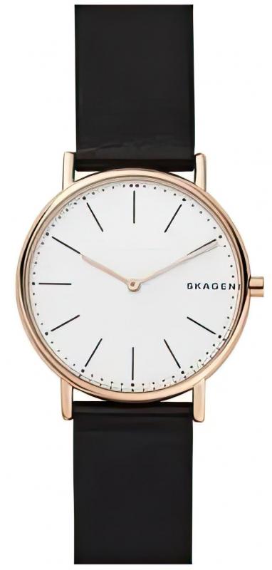 Наручные часы  Skagen  Leather Skagen SKW6430 (фото 1)