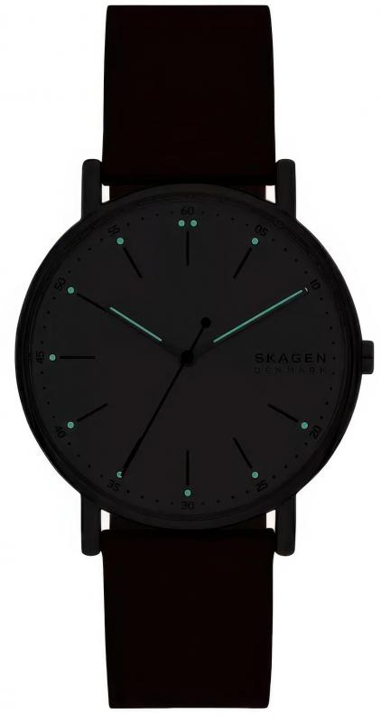 Наручные часы  Skagen  Signatur Skagen SKW6903 (фото 4)