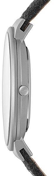 Наручные часы  Skagen  Leather Skagen SKW6097 (фото 2)