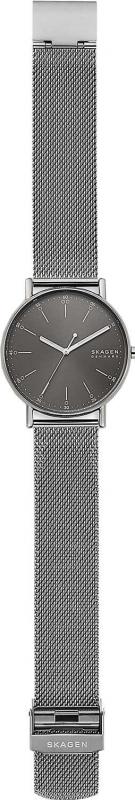 Наручные часы  Skagen  Signatur Skagen SKW6577 (фото 4)