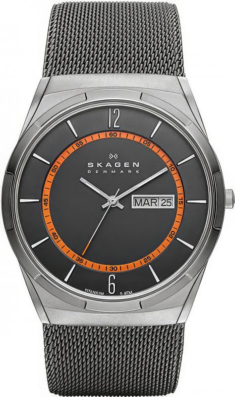 Наручные часы  Skagen  Titanium Skagen SKW6007 (фото 1)