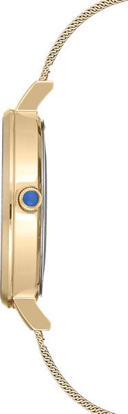 Наручные часы  Anne Klein  Steel Anne Klein 2988CHGB (фото 3)