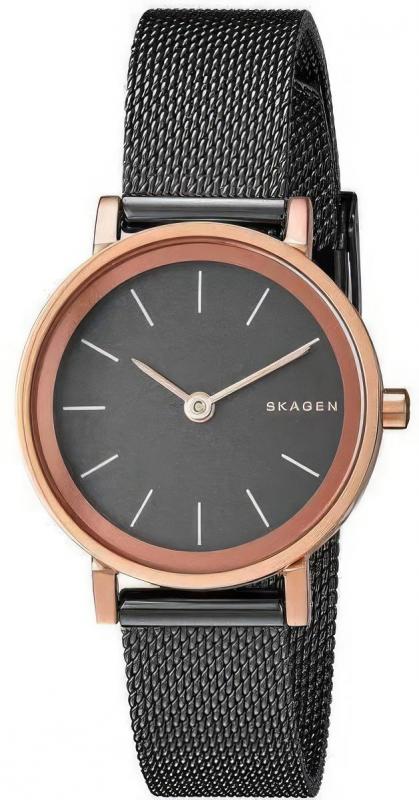 Наручные часы  Skagen  Steel Women Skagen SKW2492 (фото 1)