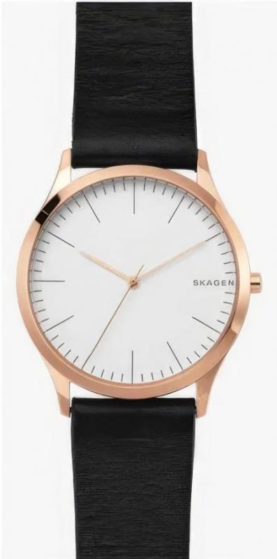 Наручные часы  Skagen  Leather Skagen SKW1102 (фото 1)