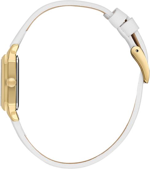 Наручные часы  Daniel Klein  Premium Daniel Klein 13878-3 (фото 2)