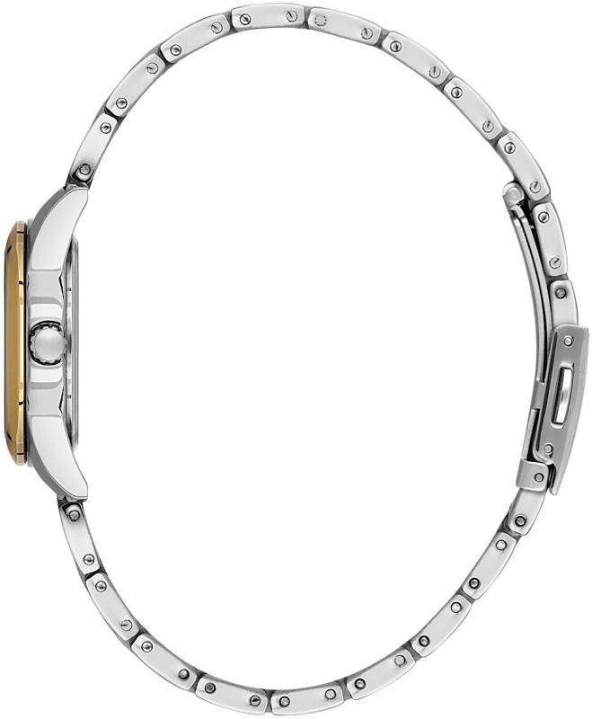 Наручные часы  Daniel Klein  Premium Daniel Klein 13929-4 (фото 2)