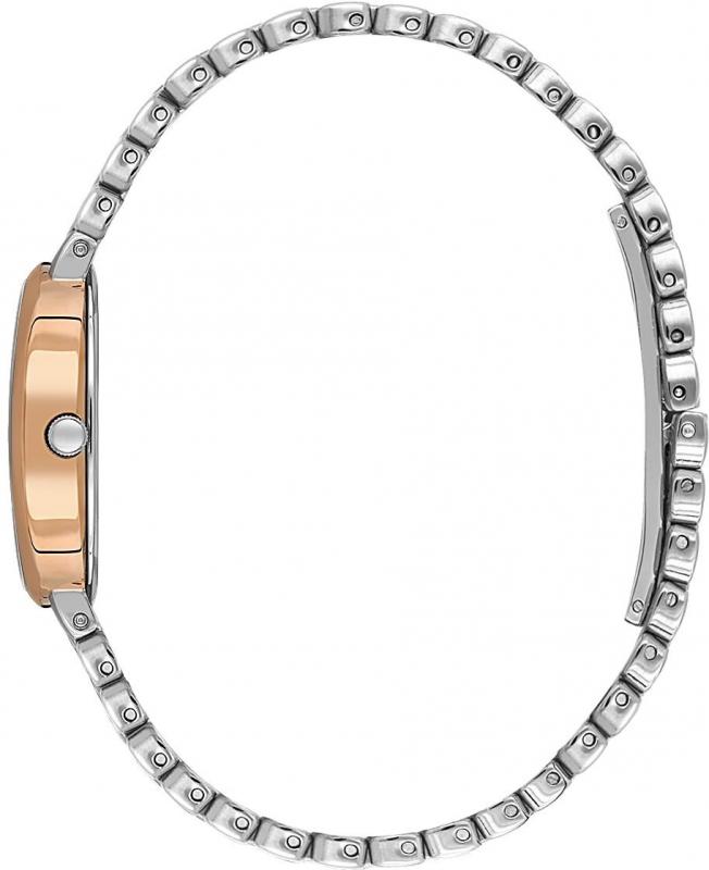 Наручные часы  Daniel Klein  Premium Daniel Klein 14130-6 (фото 2)