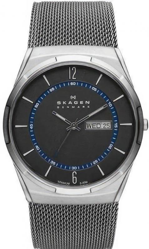 Наручные часы  Skagen  Titanium Skagen SKW6078 (фото 1)