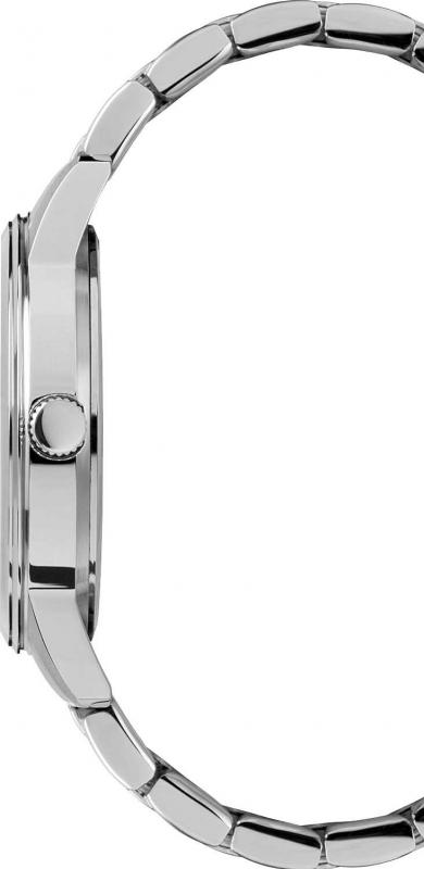 Наручные часы  Timex  Timex Standard Timex TW2T59800 (фото 2)