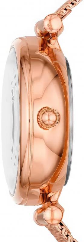 Наручные часы  Fossil  Carlie Mini Fossil ME3188 (фото 2)