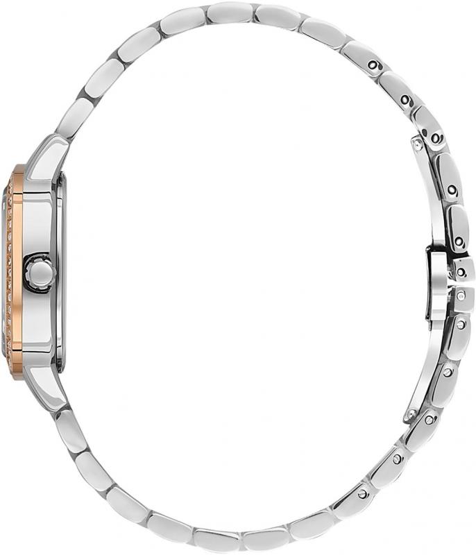 Наручные часы  Daniel Klein  Premium Daniel Klein 13944-6 (фото 2)