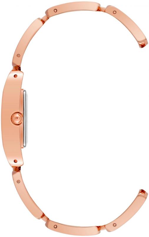 Наручные часы  Anne Klein  Steel Anne Klein 4068RGTE (фото 2)