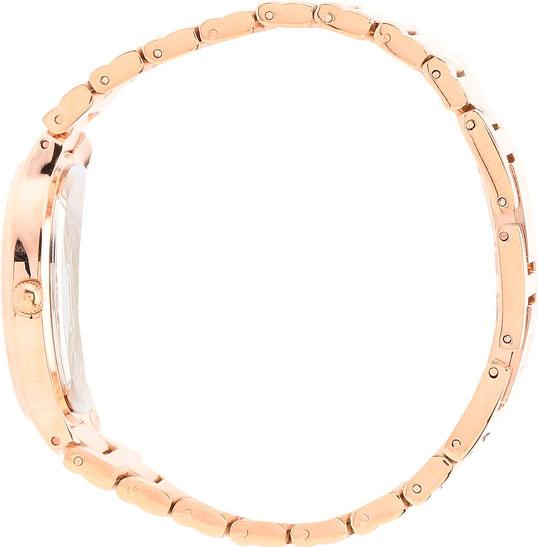 Наручные часы  Anne Klein  Steel Anne Klein 1450RGRG (фото 2)