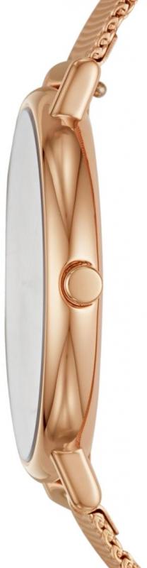 Наручные часы  Skagen  Steel Women Skagen SKW2732 (фото 2)