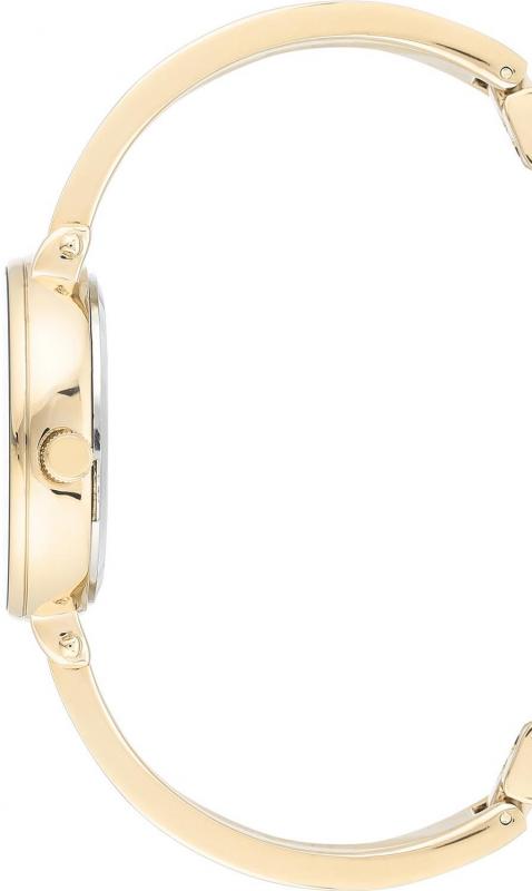 Наручные часы  Anne Klein  Box Set Anne Klein 3620PLST (фото 2)