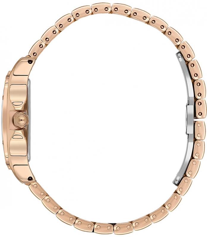 Наручные часы  Daniel Klein  Premium Daniel Klein 13583-6 (фото 2)