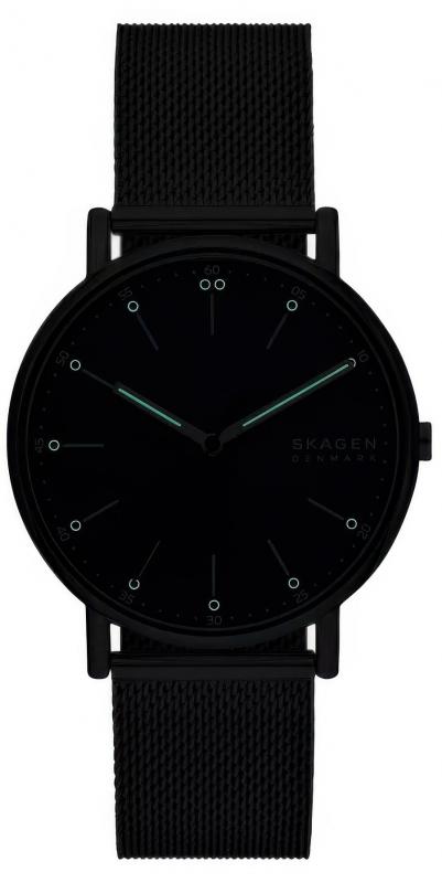 Наручные часы  Skagen  Signatur Skagen SKW6904 (фото 4)