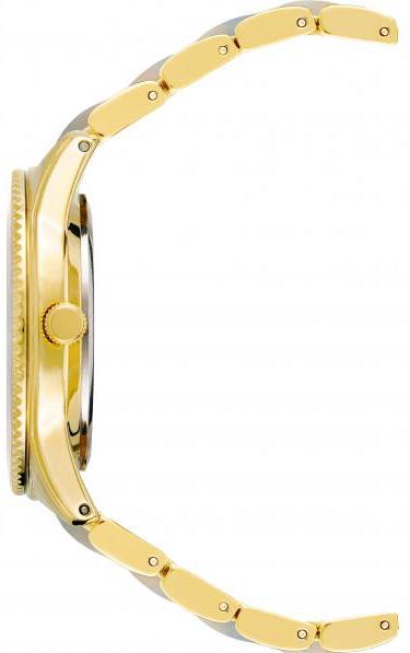 Наручные часы  Anne Klein  Ceramic Anne Klein 3214LBGB (фото 2)